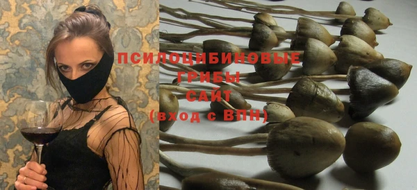 герыч Алексин