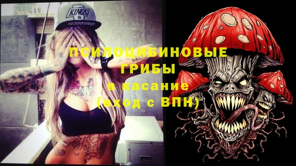 а пвп мука Абаза