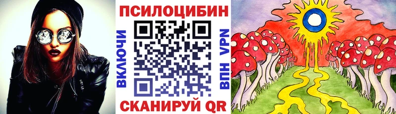 магазин продажи наркотиков  Бакал  omg tor  Галлюциногенные грибы Cubensis 