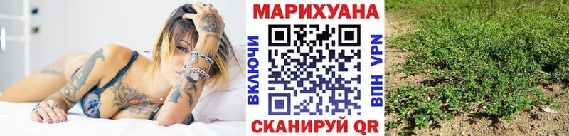 Канабис OG Kush  Бакал 